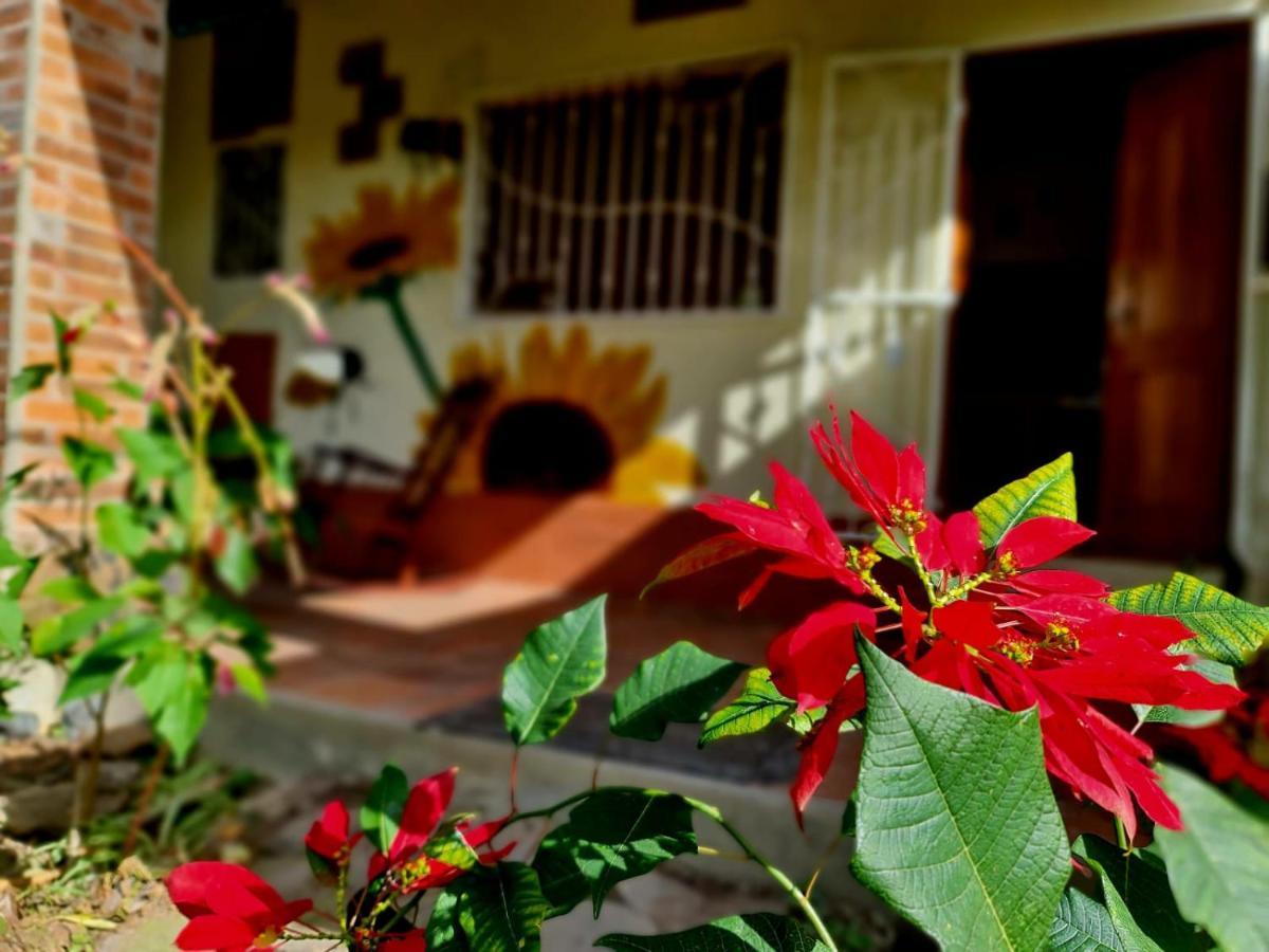 Hostel Estacion Biologica Aguali Matagalpa Zewnętrze zdjęcie